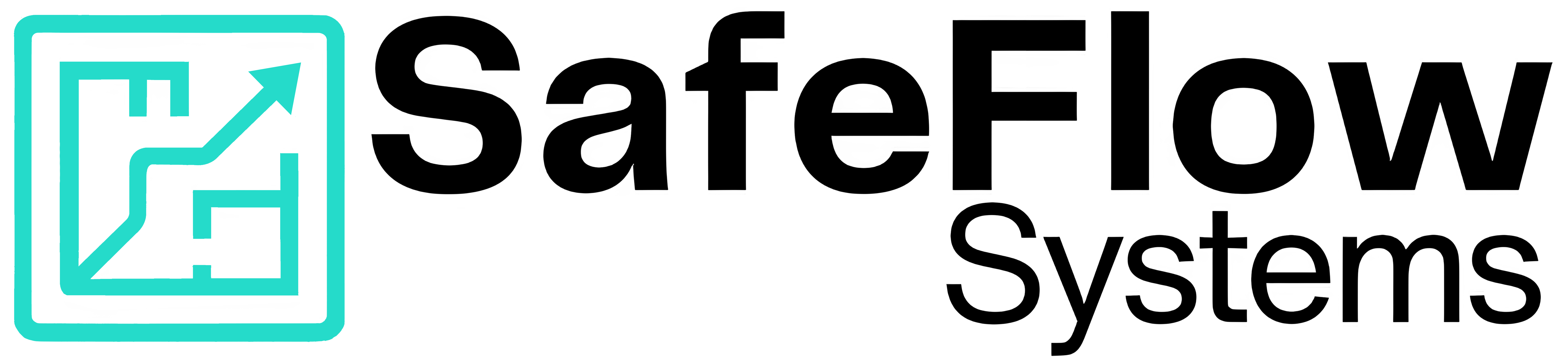 SafeFlow Systems